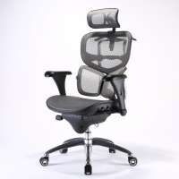 Sihoo Funky Ergonomic Computer Chair Custom Design Waist Pillow Office  Manager Mesh Boss Chair With Footrest